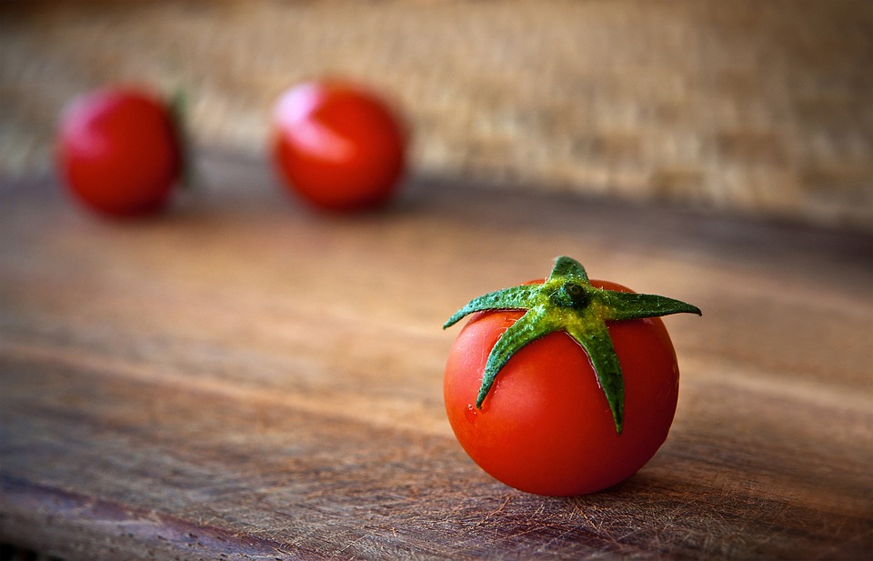 ¿Puede un perro comer tomate? ¡Más información!