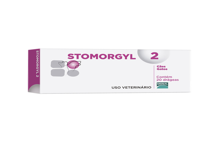 Stomorgyl: кога е показано това лекарство?
