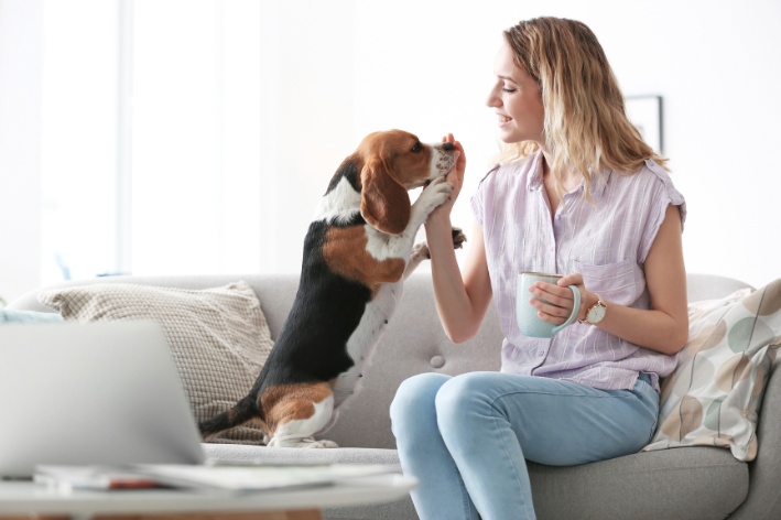 Může pes pít rozmarýnový čaj? Zjistěte to!