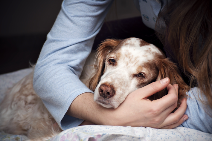 Wissen Sie, welche Medikamente Sie einem Hund mit Schmerzen geben können? Finden Sie es heraus!