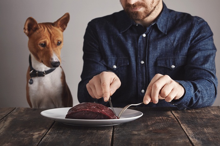 Os cans poden comer carne crúa?