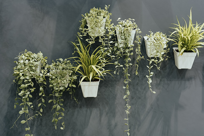 Hengende vase: tips om hvordan du bruker den hjemme med +55 dekorative ideer
