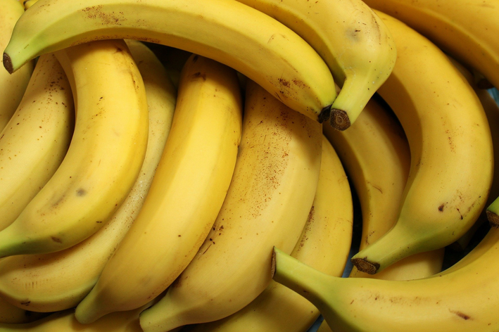 Chcete vedieť, ako pestovať banány? Príďte a dozviete sa to!