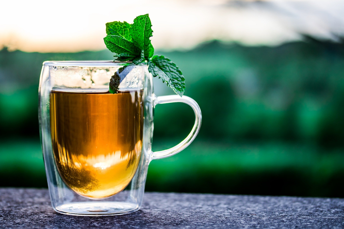Teepflanzen: Finden Sie heraus, welche am besten für Sie geeignet ist