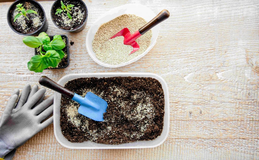 Vermiculite: scoprite perché usarla nelle vostre piante