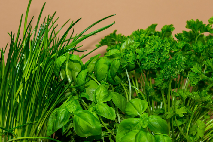 Hvordan plante grønn lukt: hageveiledning