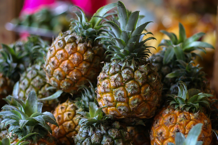 Ananas nasıl yetiştirilir: yetiştirin ve tüm yıl boyunca meyve alın!